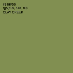#818F50 - Clay Creek Color Image
